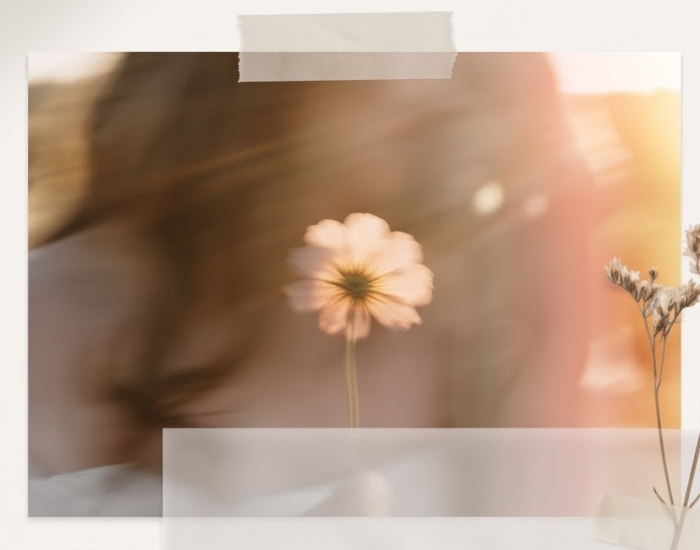 Sunlit portrait with daisy flower and dreamy lens flare